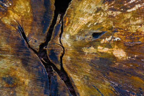 Nel Kingma-thema pareidolie-1